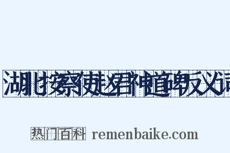 湖北按察使赵君神道碑反义词是什么意思的图片